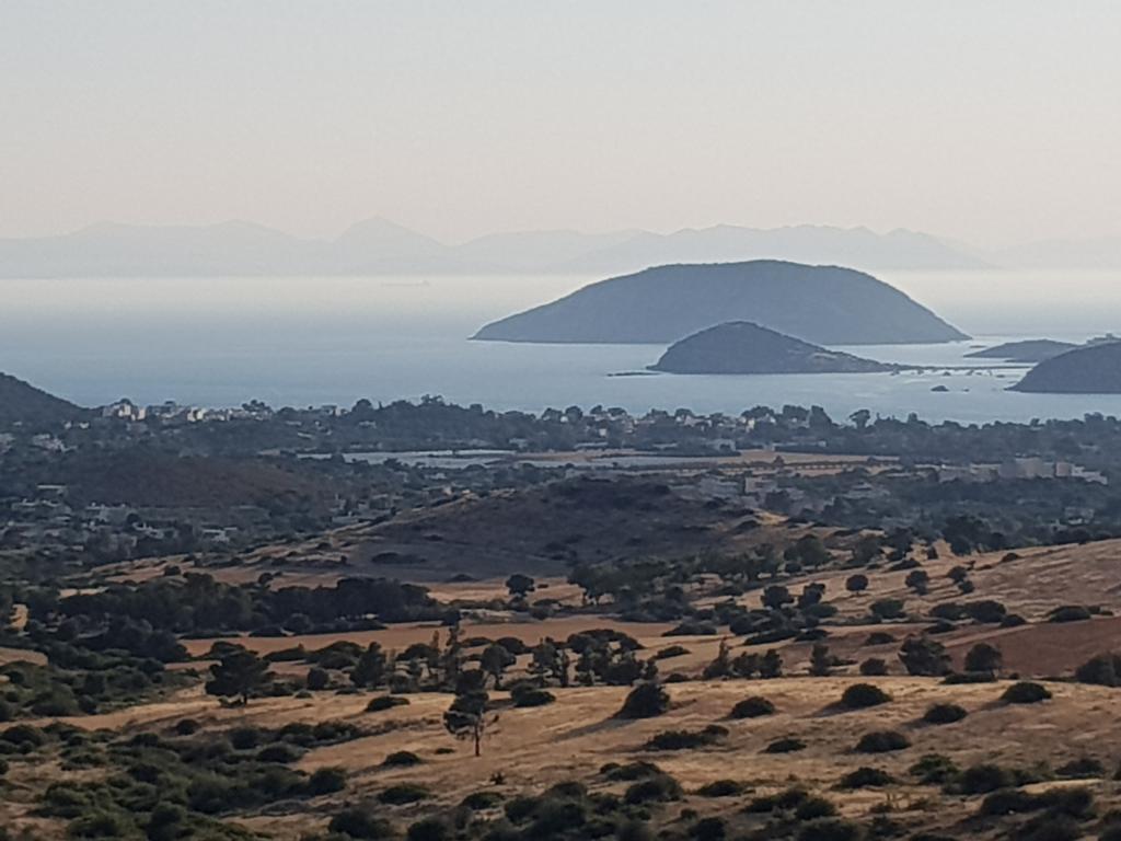 Sounio Palea Heaven Apartment Palaia Fokaia Exterior photo